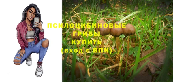 бошки Алзамай