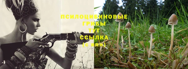 ешки Алексеевка